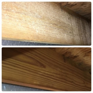 Photo of Phillips Restoration Services