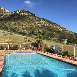Photo of Pineapple Pool and Spa Care