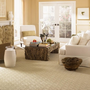 Photo of Action Home Pro Carpet and Tile Cleaning