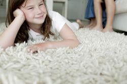 Photo of Action Home Pro Carpet and Tile Cleaning