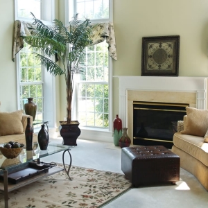 Photo of Action Home Pro Carpet and Tile Cleaning