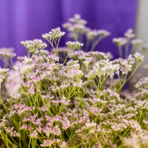 Photo of BCP Floral