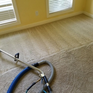 Photo of All Metro Carpet Cleaning