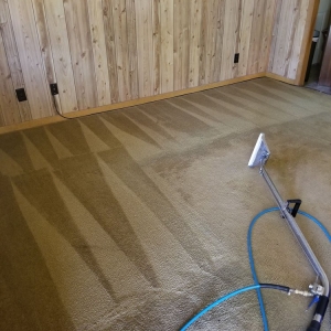 Photo of All Metro Carpet Cleaning
