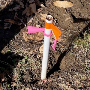 Photo of Allegheny Land Survey