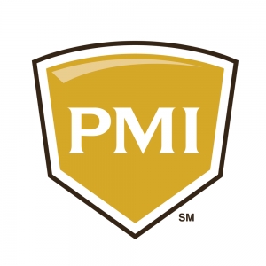 Photo of PMI Georgia