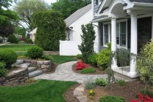Photo of Antine Landscape Design Contractor