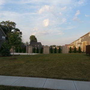 Photo of Lawn Force One