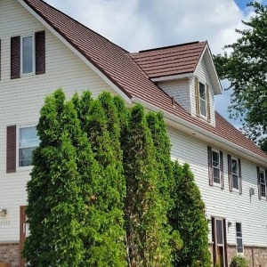 Photo of Metal Roofing Systems