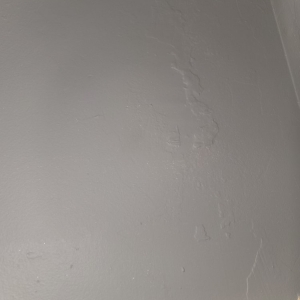 Photo of Joel Pressure Cleaning & Painting Services