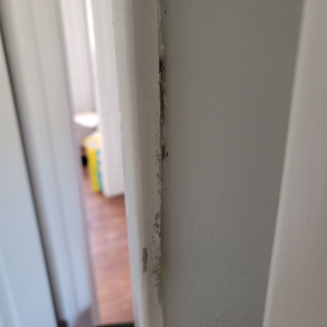 Photo of Joel Pressure Cleaning & Painting Services
