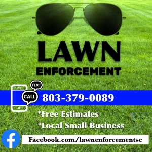 Photo of Lawn Enforcement