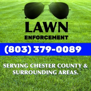 Photo of Lawn Enforcement
