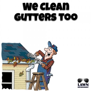 Photo of Lawn Enforcement