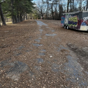 Photo of All Seasons Lawn Care