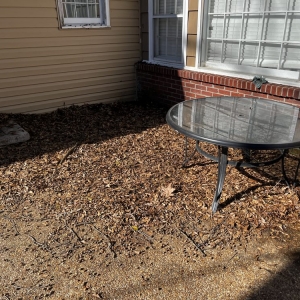 Photo of All Seasons Lawn Care