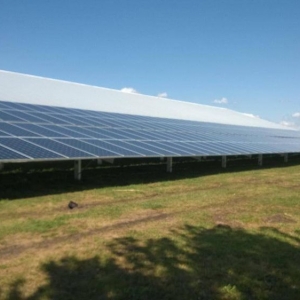 Kokomo Green Alternatives