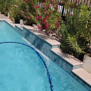 Photo of Armas Landscape and Design