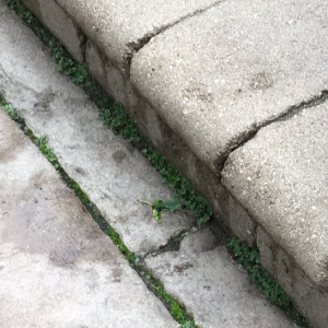 Photo of Pavercare
