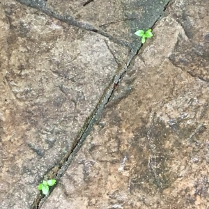 Photo of Pavercare