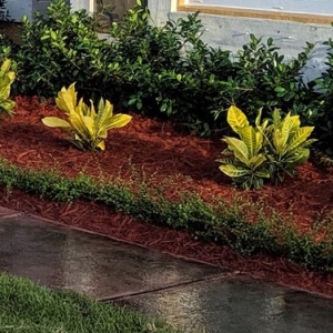 Miami Beautiful Gardens and Lawn Care