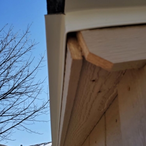 Photo of Tuff Shed