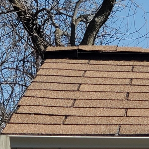 Photo of Tuff Shed