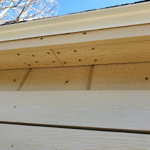Photo of Tuff Shed