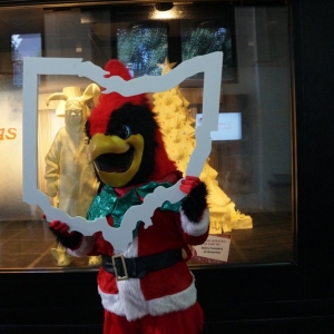 Photo of The Mascot Organization
