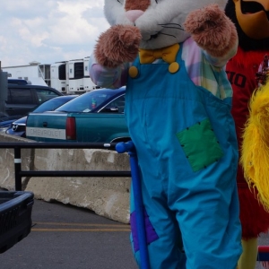 Photo of The Mascot Organization