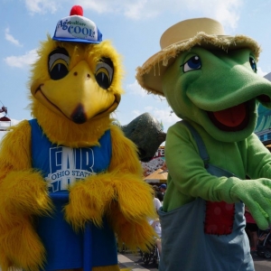 Photo of The Mascot Organization