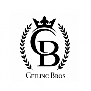 Photo of Ceiling Bros