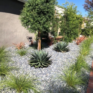 Photo of Finley's Tree & Landcare