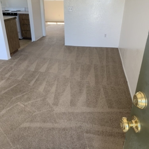 Photo of Steam Cleaning Professionals