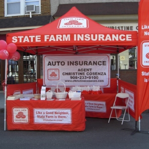 Photo of Christine Cosenza - State Farm Insurance Agent