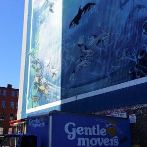 Photo of Boston Mover