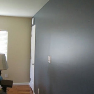 Photo of Skylar Painting