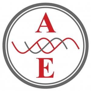 Photo of Absolute Electrical