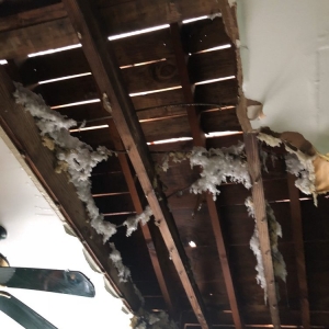 Photo of Georgia Roof Repair