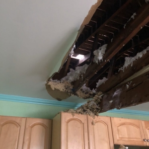 Photo of Georgia Roof Repair