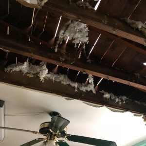 Photo of Georgia Roof Repair