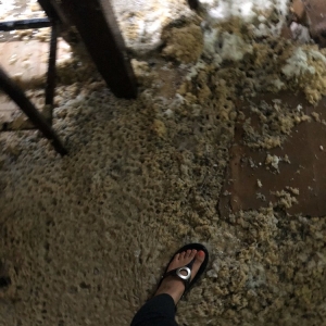 Photo of Georgia Roof Repair