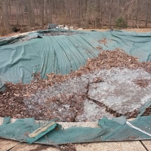 Photo of American Pool Service