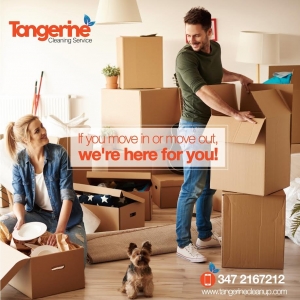 Photo of Tangerine Cleaning Service
