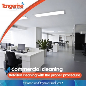 Photo of Tangerine Cleaning Service