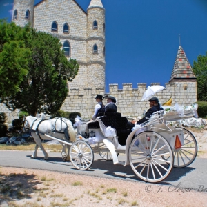 Photo of Fantasia Carriage