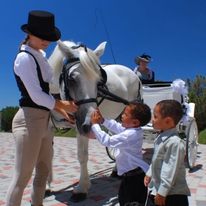 Photo of Fantasia Carriage