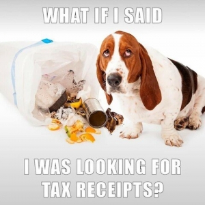 Photo of Palmer Accounting & Tax Services