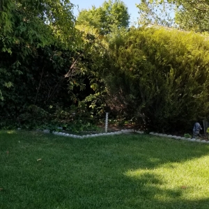 Stockton Hats Off Landscaping+