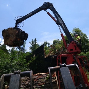 Photo of Tree Pros